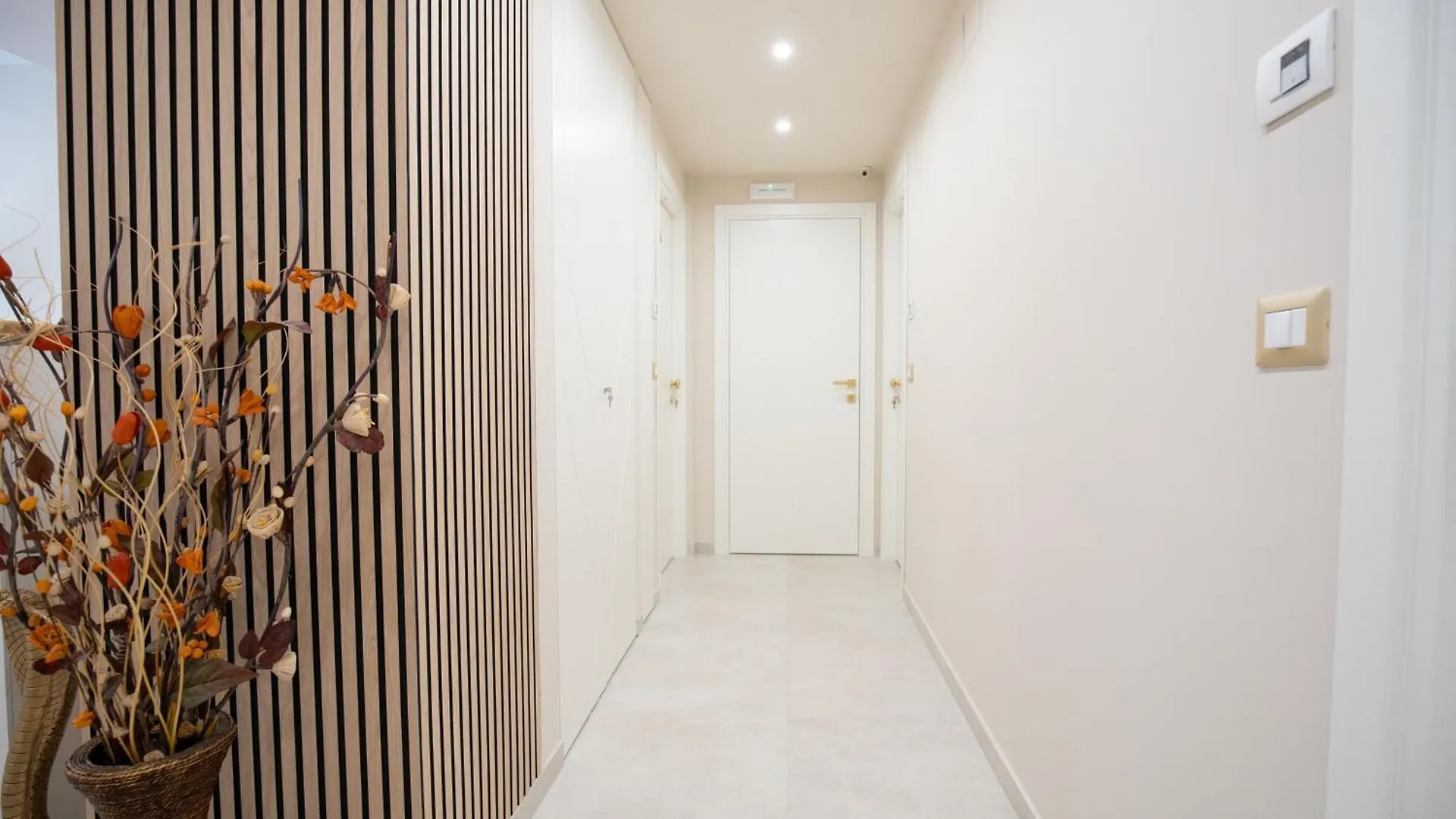 Nery Home Luxury 贾迪尼-纳克索斯